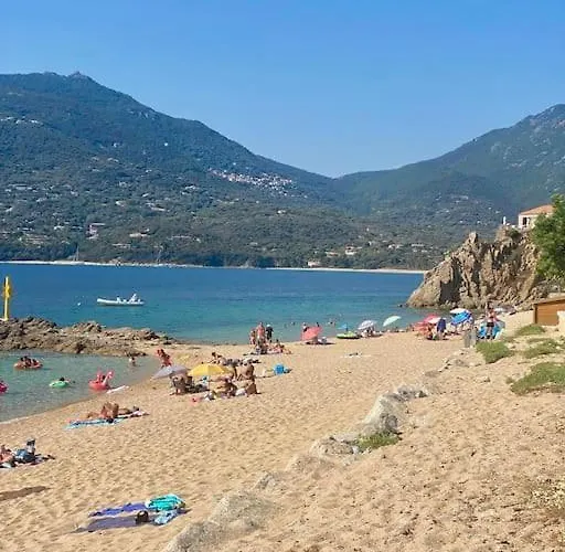 Superbe T3 Front De Au Centre De Propriano (Corsica)